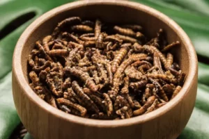 Jedlý hmyz: potravina budoucnosti?