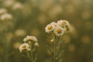 Nové poznatky o&nbsp;alergiích a&nbsp;mikrobiomu