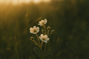 Přírodní antihistaminika a&nbsp;jarní alergie